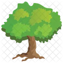 Hackberry Agriculture Evergreen Icon