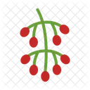 Hackberry Tree Foliage Icon
