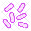 Haemophilus Influenzae Color Icon