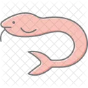 Hagfish Ocean Marine Icon