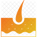Hair bulb  Icon