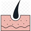 Hair bulb  Icon