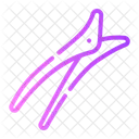 Hair Clip Miscellaneous Salon Icon