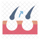 Hair fall  Icon
