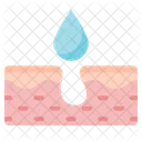 Hair Follicle  Icon