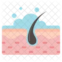 Hair Follicle  Icon