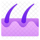 Hair Follicle  Icon