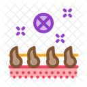 Growing Hair Procedure Icon