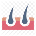 Hair Growth Hair Dematology Icon