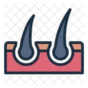 Hair Growth Hair Dematology Icon