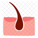 Hair Organ Human Icon