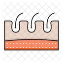 Hair Shave Organ Icon