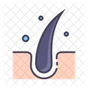 Hair Anatomy Skin Icon