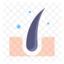 Hair Anatomy Skin Icon