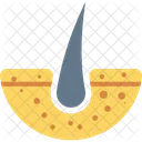 Hair Hairroots Hairplant Icon