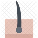 Hair Medicine Dentist Icon