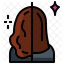 Hair  Icon