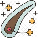 Hair  Icon