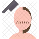 Hair  Icon