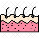 Hair Anatomy Dermis Icon