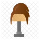 Hair Hair Cutting Hair Extension Icon