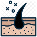 Hair Skin Surface Icon