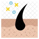 Hair Skin Surface Icon