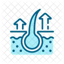 Hair Care Icons Color Blue Icon