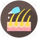 Hair Oil Care Hydration Icon