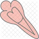 Hair Pin Hairpin Pin Icon