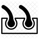 Hair root  Icon