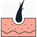 Hair roots  Icon