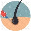 Hair Restoration Hair Loss Hair Grafting Icon