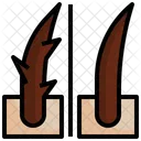 Hairline  Icon