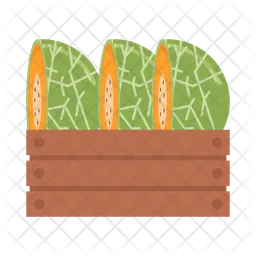 Half cantaloupe  Icon