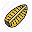 Half Pineapple  Icon