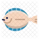 Halibut Fish  Icon