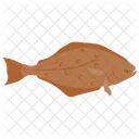 Halibut Sole Turbot Icon