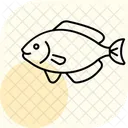 Halibute Oceano Marinho Ícone