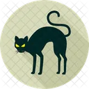 Halloweeen Black Cat Animal Black Cat Icon