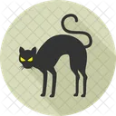 Halloweeen black cat  Icon