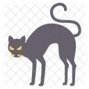 Halloweeen Black Cat  Icon