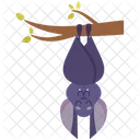 Halloween Bat  Icon