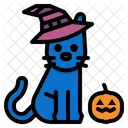 Halloween Cat Cat Veterinary Icon