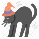Halloween Cat  Icon
