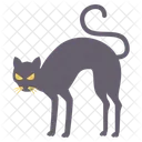 Gato negro de halloween  Icono