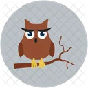 Halloween owl  Icon