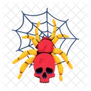 Halloween Spider Skull Spider Spider Web Icon