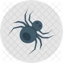 Halloween Spider Spider Web Spider Icon