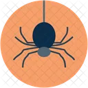 Halloween Spider Scary Icon